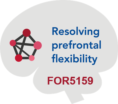 Cognitive Flexibility Logo